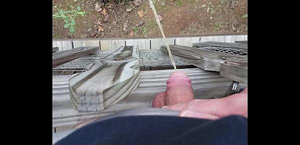  Amateur Guy Pissing Off Porch In Public
